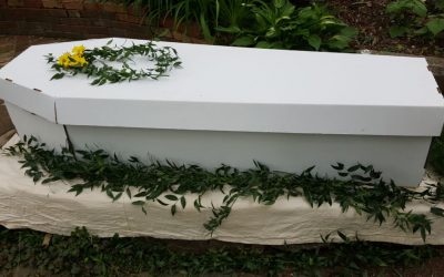 Cardboard Coffins Orla’s Carriage